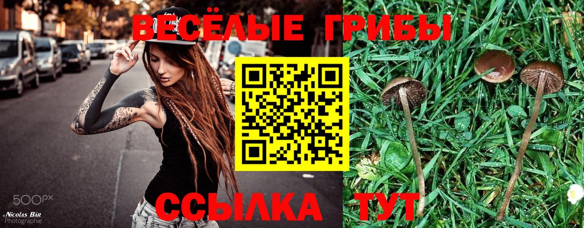 Дюртюли  Галлюциногенные грибы мухоморы  Вход с VPN 